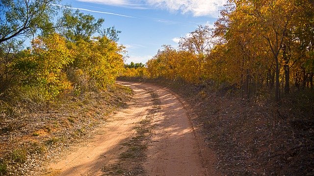 Tải xuống miễn phí Trail Fall Texas - ảnh hoặc ảnh miễn phí được chỉnh sửa bằng trình chỉnh sửa ảnh trực tuyến GIMP