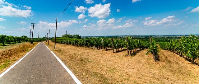 Free download Trail Road Vineyards -  free photo or picture to be edited with GIMP online image editor