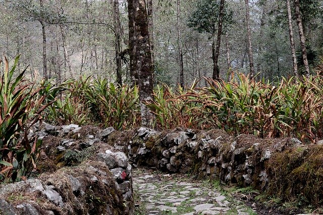 Bezpłatne pobieranie Trail Way Hiking - bezpłatne zdjęcie lub obraz do edycji za pomocą internetowego edytora obrazów GIMP