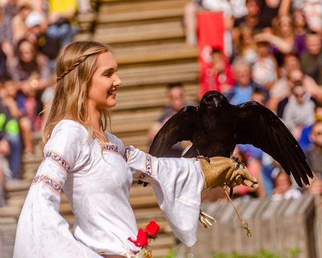 Bezpłatne pobieranie Trainer Falconer Pretty - bezpłatne zdjęcie lub obraz do edycji za pomocą internetowego edytora obrazów GIMP