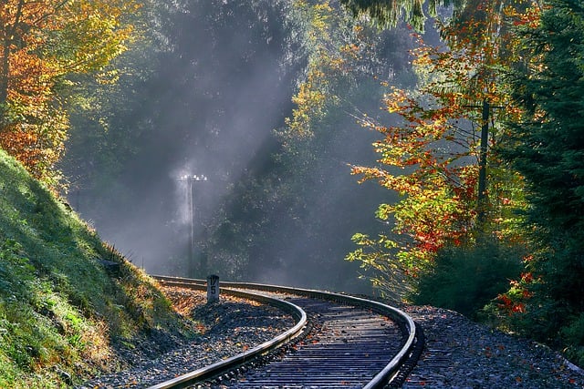 Free download train tracks railroad forest free picture to be edited with GIMP free online image editor