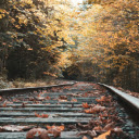 Train Tracks with Trees  screen for extension Chrome web store in OffiDocs Chromium
