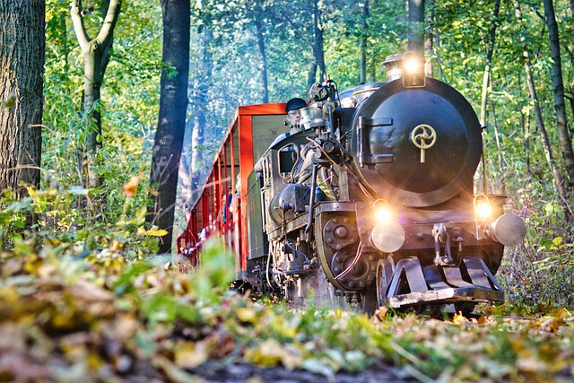 Free download train woods trees transportation free picture to be edited with GIMP free online image editor