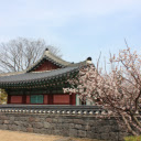 Tranquil Setting with Traditional Architecture and Spring Bloom  screen for extension Chrome web store in OffiDocs Chromium