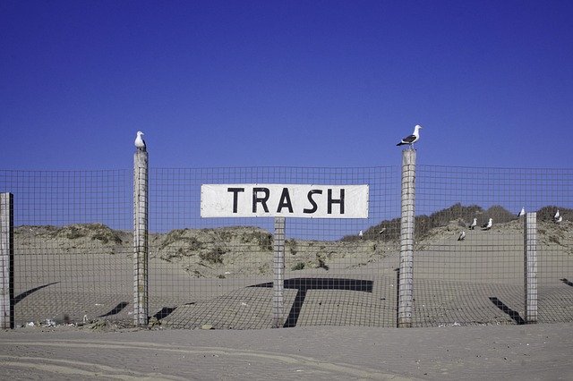 Free download Trash Seagulls Sign -  free photo or picture to be edited with GIMP online image editor