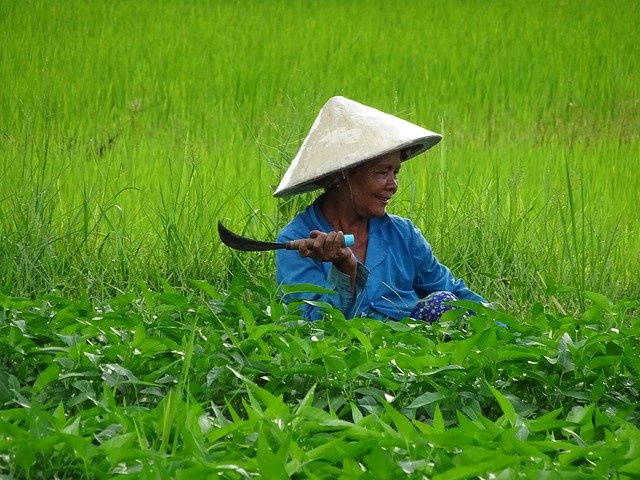 Free download Travel Asia Cambodia -  free photo or picture to be edited with GIMP online image editor
