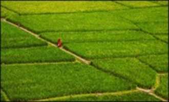 Free download Travel Bangladesh Wonderful Chill Out Of Bangladesh, The Land Of Beauty ( Part 1) Video free photo or picture to be edited with GIMP online image editor