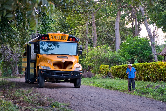 Free download travel nicaragua central america free picture to be edited with GIMP free online image editor