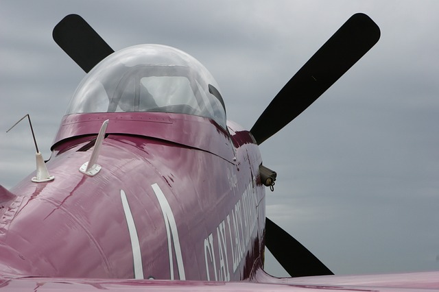 Free download travel outdoors p 51 mustang free picture to be edited with GIMP free online image editor