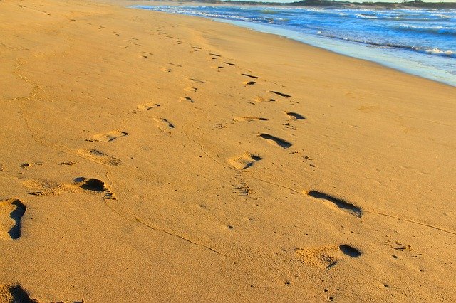 Unduh gratis Treads In The Sand Chalacatepec - foto atau gambar gratis untuk diedit dengan editor gambar online GIMP