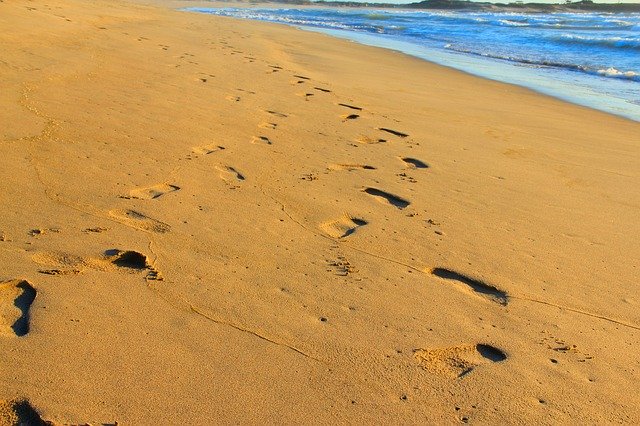 Free download Treads In The Sand Chalacatepec -  free photo or picture to be edited with GIMP online image editor