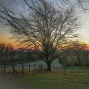 TREE 3 Theme  screen for extension Chrome web store in OffiDocs Chromium