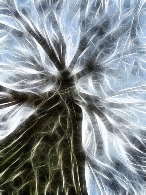Скачать бесплатно Tree Abstract Pattern - бесплатную иллюстрацию для редактирования с помощью бесплатного онлайн-редактора изображений GIMP
