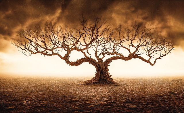Free graphic tree bald fantasy painting lonely to be edited by GIMP free image editor by OffiDocs