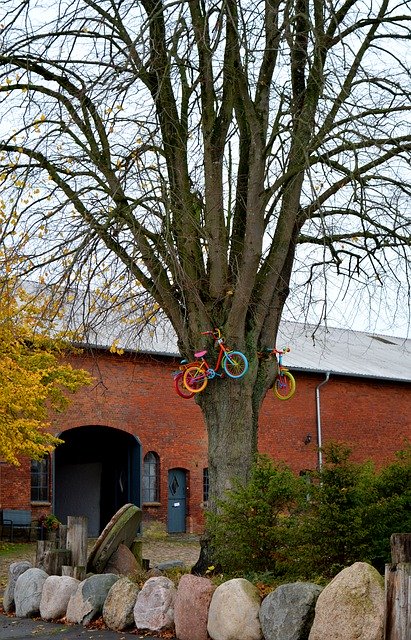 Descarga gratuita Tree Bicycles ChildS Bike: foto o imagen gratuita para editar con el editor de imágenes en línea GIMP