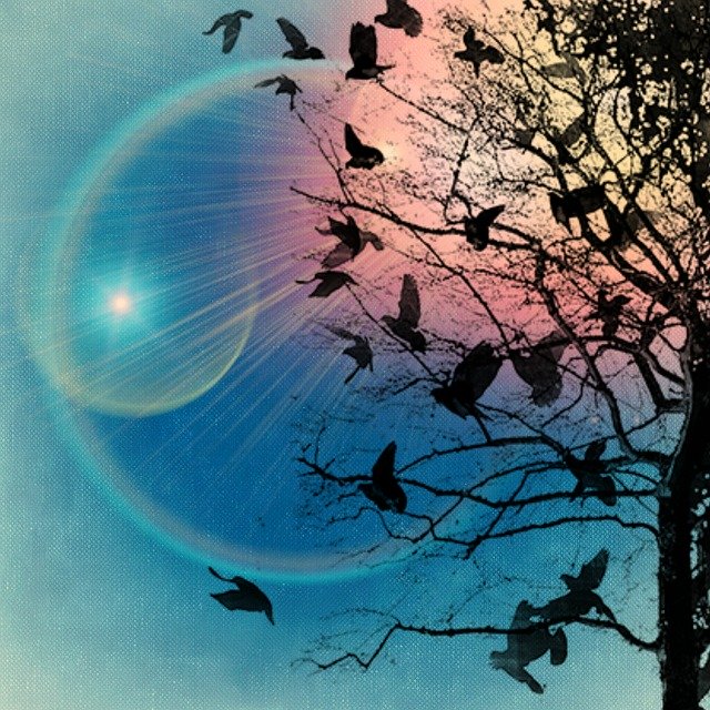 Free download Tree Birds Bird -  free illustration to be edited with GIMP free online image editor