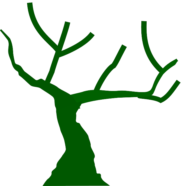 免费下载 树枝 裸露的树枝 - 免费矢量图形Pixabay 免费插图使用 GIMP 免费在线图像编辑器进行编辑