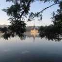 Tree branches by the lake  screen for extension Chrome web store in OffiDocs Chromium