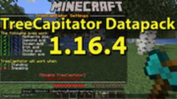Free download Treecapitator 1.16.3 free photo or picture to be edited with GIMP online image editor