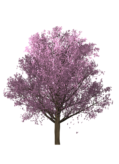 Free download Tree Cherry Foliage -  free illustration to be edited with GIMP free online image editor