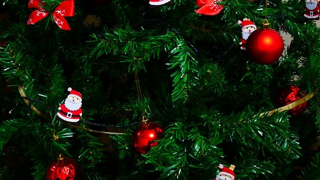Download gratuito Albero di Natale dicembre - foto o immagine gratuita da modificare con l'editor di immagini online di GIMP