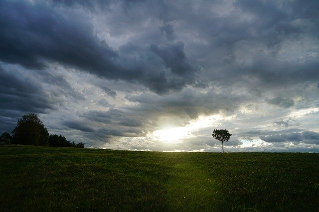 Free download Tree Clouds Forward -  free photo or picture to be edited with GIMP online image editor