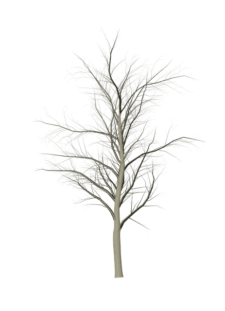 Free download Tree Dead -  free illustration to be edited with GIMP free online image editor