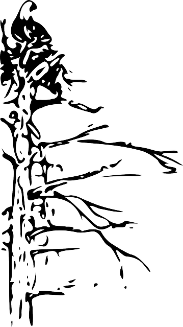 Free download Tree Dead Nature - Free vector graphic on Pixabay free illustration to be edited with GIMP free online image editor