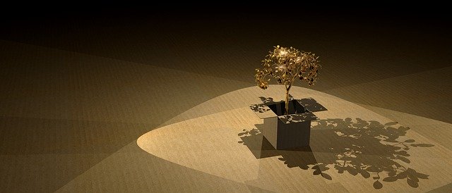 Free download Tree Ecology Wood -  free illustration to be edited with GIMP free online image editor