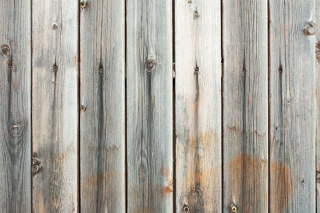 Free download Tree Fence Texture -  free photo or picture to be edited with GIMP online image editor