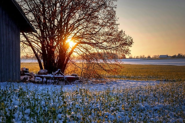 Free download tree fields snow sunset nature free picture to be edited with GIMP free online image editor