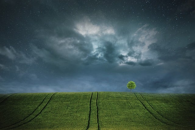 Free download tree field stars night clouds free picture to be edited with GIMP free online image editor