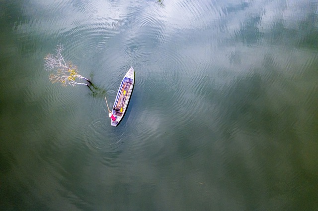 Free download tree fisherman fishing lake free picture to be edited with GIMP free online image editor