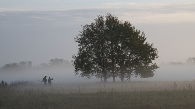 Free download tree fog nature landscape people free picture to be edited with GIMP free online image editor