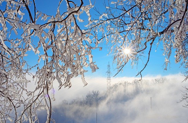 Téléchargement gratuit d'une image gratuite de la lumière du soleil, du givre, du soleil et du brouillard d'arbre à modifier avec l'éditeur d'images en ligne gratuit GIMP