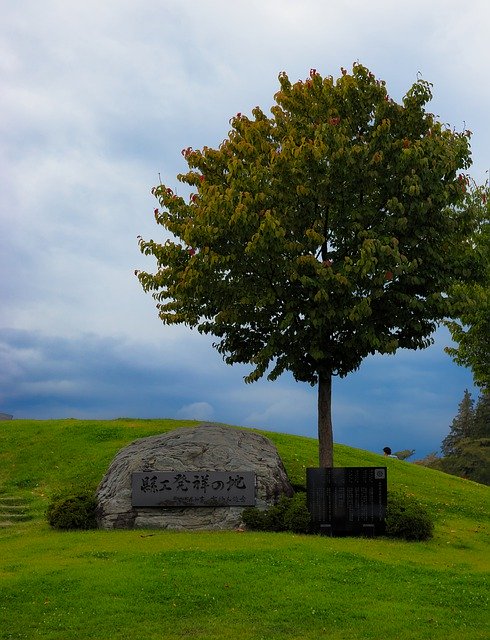 Ücretsiz indir Tree Grass Green - GIMP çevrimiçi resim düzenleyici ile düzenlenecek ücretsiz fotoğraf veya resim