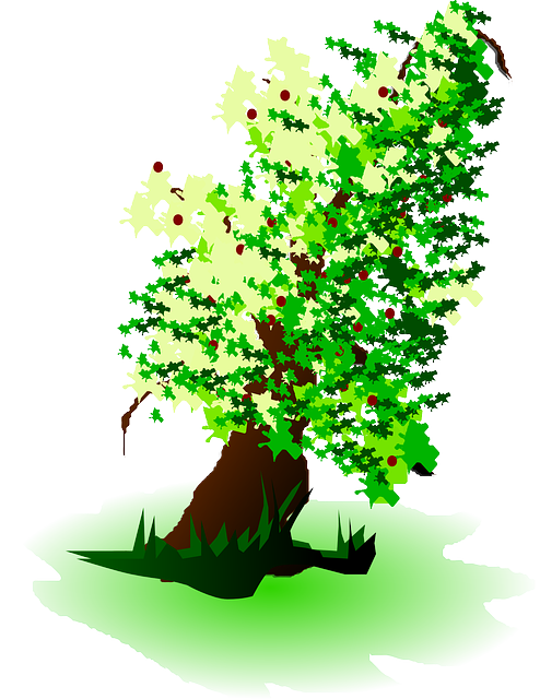 Free download Tree Grenn Fruits - Free vector graphic on Pixabay free illustration to be edited with GIMP free online image editor