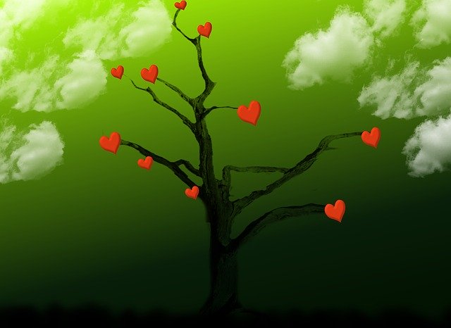 Free download Tree Heart Love -  free free photo or picture to be edited with GIMP online image editor