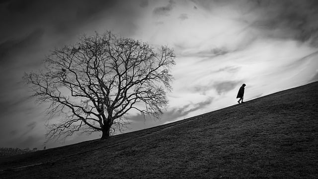 Free download tree hill person silhouette free picture to be edited with GIMP free online image editor