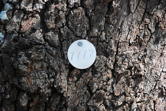 Unduh gratis tag identifikasi pohon gambar gratis untuk diedit dengan editor gambar online gratis GIMP