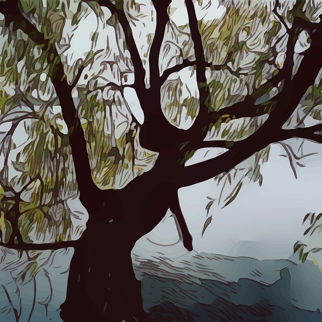 免费下载 Tree Lake Arbor - 使用 GIMP 免费在线图像编辑器编辑的免费插图