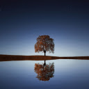 Tree, lake, stars reflection water  screen for extension Chrome web store in OffiDocs Chromium