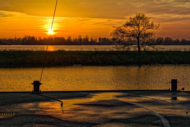 Free download tree lake sunset cable ijsselmeer free picture to be edited with GIMP free online image editor