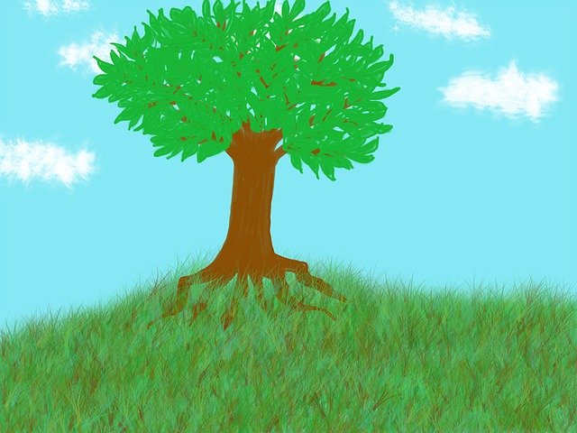 Descarga gratuita Tree Landscape: foto o imagen gratis y gratuita para editar con el editor de imágenes en línea GIMP