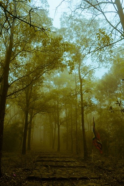 تنزيل Tree Landscape Mountain مجانًا - صورة مجانية أو صورة لتحريرها باستخدام محرر الصور عبر الإنترنت GIMP