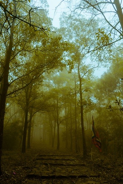 무료 다운로드 Tree Landscape Mountain - 무료 사진 또는 GIMP 온라인 이미지 편집기로 편집할 사진