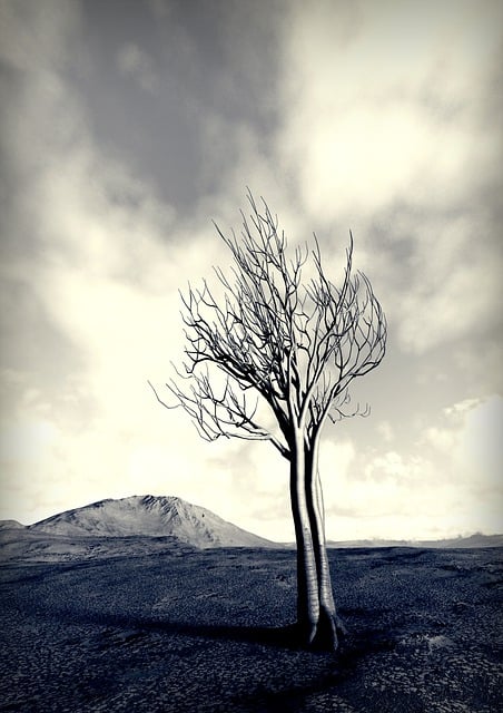 قم بتنزيل صورة مجانية لشجرة المناظر الطبيعية والطبيعة والغيوم والتلال لتحريرها باستخدام محرر الصور المجاني عبر الإنترنت GIMP