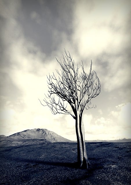 Téléchargement gratuit d'une image gratuite de paysage d'arbres, nature, nuages, crête à modifier avec l'éditeur d'images en ligne gratuit GIMP