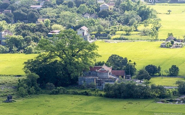 Free download Tree Landscape Scenery -  free photo or picture to be edited with GIMP online image editor