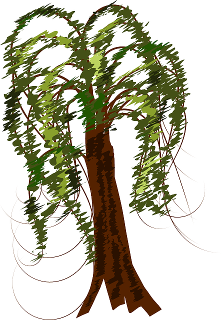 Free download Tree Leaves Trunk - Free vector graphic on Pixabay free illustration to be edited with GIMP free online image editor
